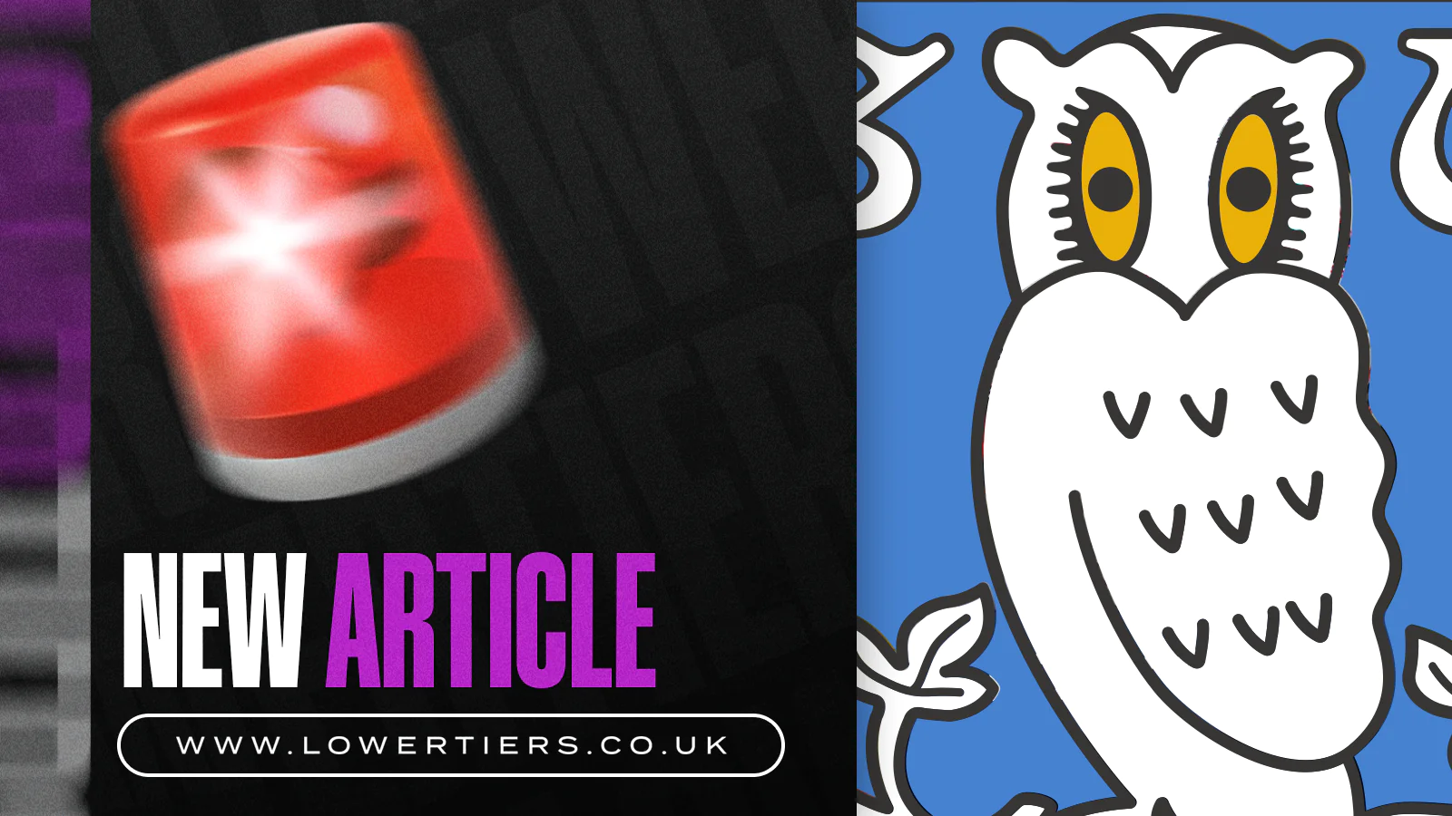 sheffield wednesday's next manager